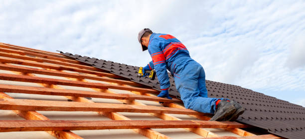 Best Steel Roofing  in Apex, NC